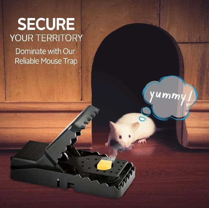 Heavy Duty Plastic Mouse Trap